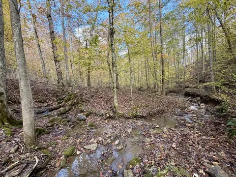 1 Robbins Rd E, Robbins, TN 37852 photo 17