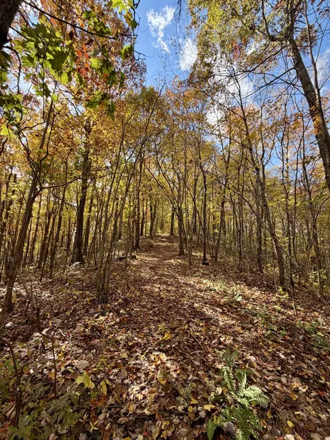 1 Robbins Rd E, Robbins, TN 37852 photo 57