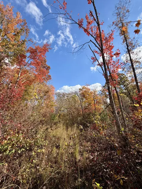1 Robbins Rd E, Robbins, TN 37852 photo 51