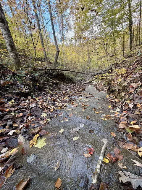 1 Robbins Rd E, Robbins, TN 37852 photo 20