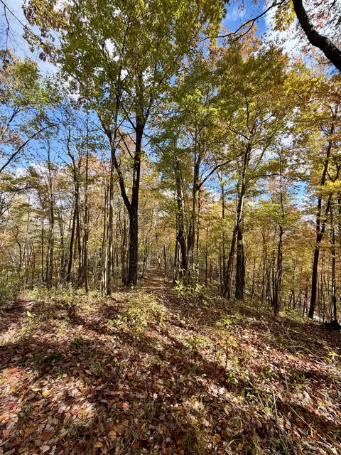 1 Robbins Rd E, Robbins, TN 37852 photo 58