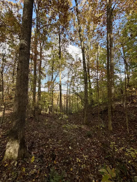 1 Robbins Rd E, Robbins, TN 37852 photo 34