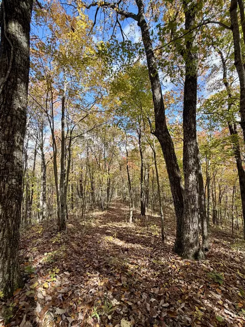 1 Robbins Rd E, Robbins, TN 37852 photo 9