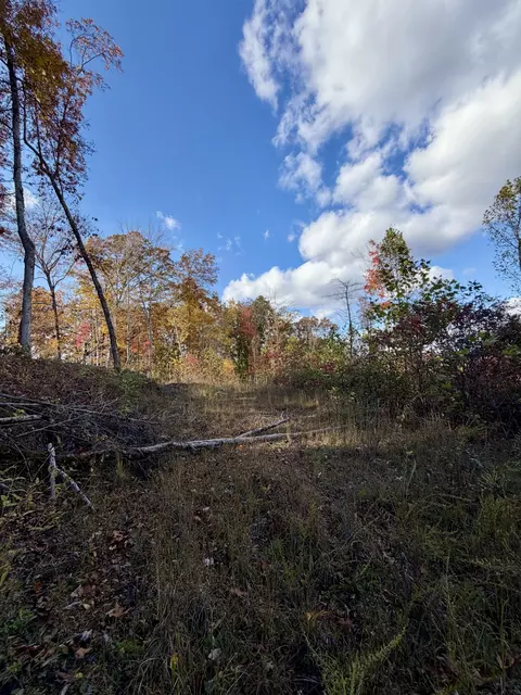 1 Robbins Rd E, Robbins, TN 37852 photo 23