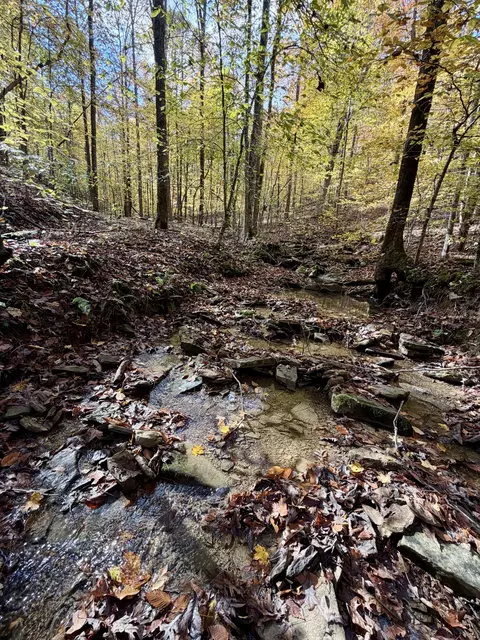 1 Robbins Rd E, Robbins, TN 37852 photo 15
