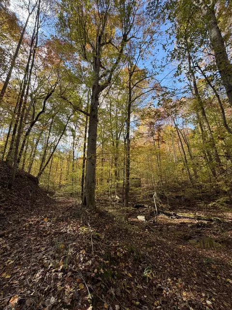 1 Robbins Rd E, Robbins, TN 37852 photo 66