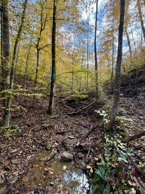1 Robbins Rd E, Robbins, TN 37852 photo 18