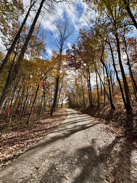 1 Robbins Rd E, Robbins, TN 37852 photo 13