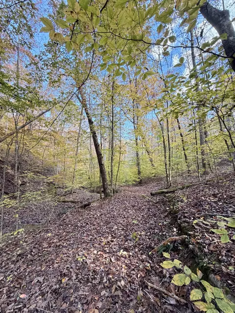1 Robbins Rd E, Robbins, TN 37852 photo 38