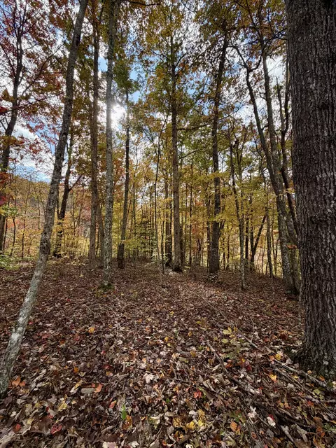 1 Robbins Rd E, Robbins, TN 37852 photo 50