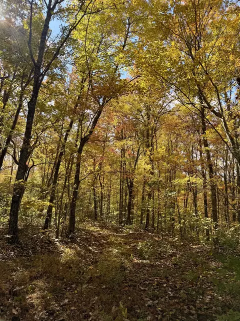1 Robbins Rd E, Robbins, TN 37852 photo 55