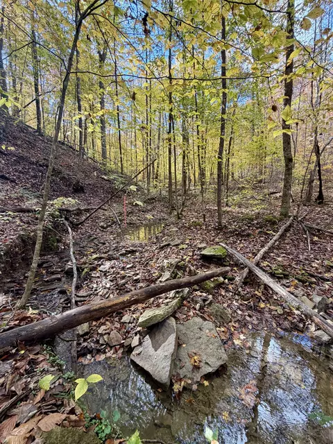1 Robbins Rd E, Robbins, TN 37852 photo 16