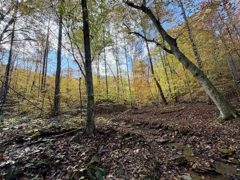 1 Robbins Rd E, Robbins, TN 37852 photo 42