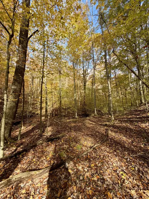 1 Robbins Rd E, Robbins, TN 37852 photo 41