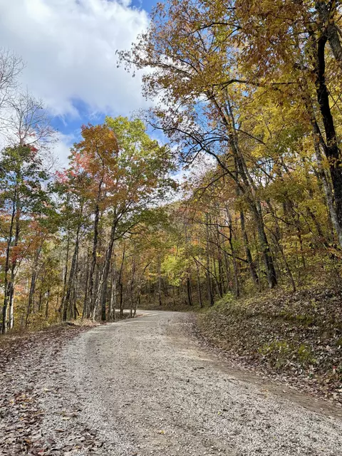 1 Robbins Rd E, Robbins, TN 37852 photo 64