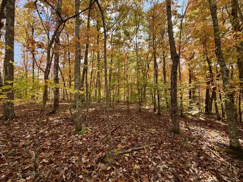 1 Robbins Rd E, Robbins, TN 37852 photo 49