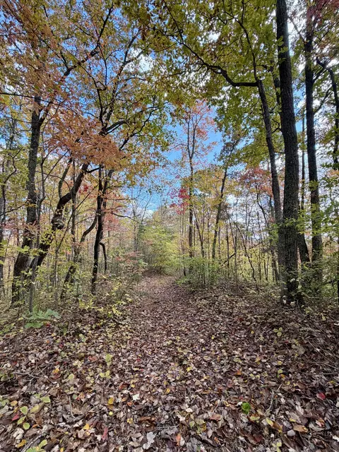 1 Robbins Rd E, Robbins, TN 37852 photo 53