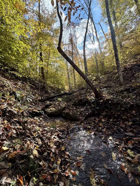 1 Robbins Rd E, Robbins, TN 37852 photo 21