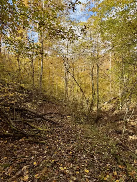 1 Robbins Rd E, Robbins, TN 37852 photo 46