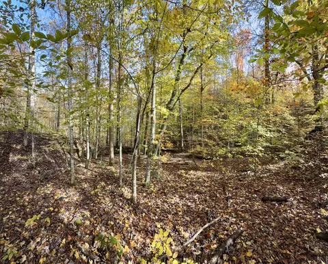 1 Robbins Rd E, Robbins, TN 37852 photo 67