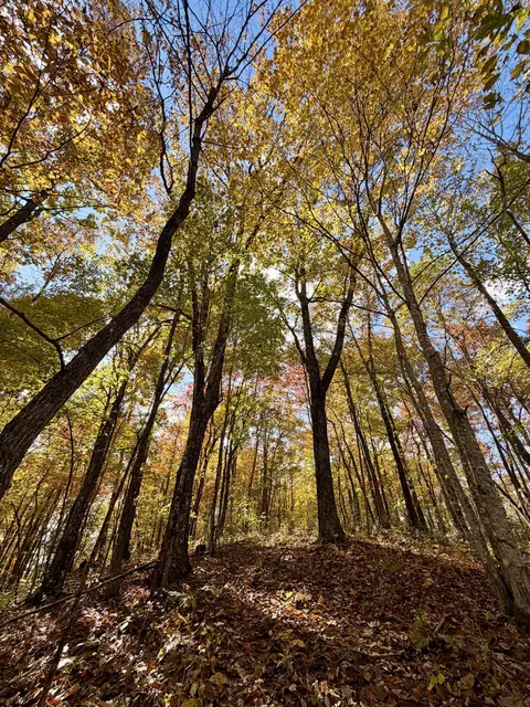 1 Robbins Rd E, Robbins, TN 37852 photo 56