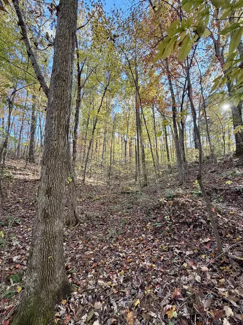 1 Robbins Rd E, Robbins, TN 37852 photo 31