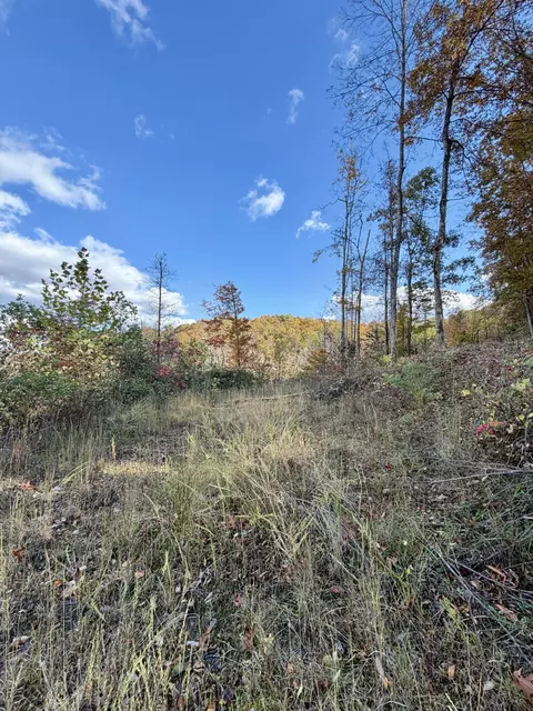 1 Robbins Rd E, Robbins, TN 37852 photo 33