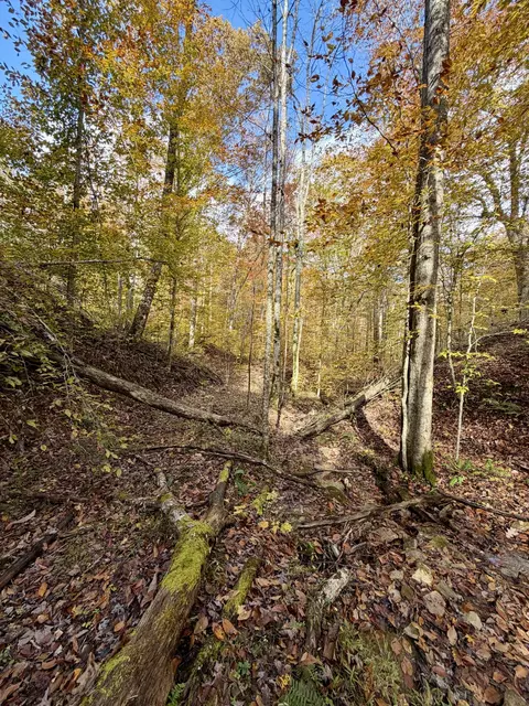 1 Robbins Rd E, Robbins, TN 37852 photo 44
