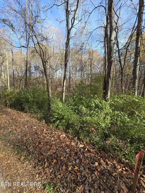 230 Wells Rd, Powell, TN 37849 photo 7