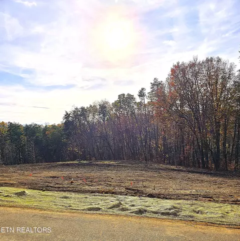 230 Wells Rd, Powell, TN 37849 photo 5