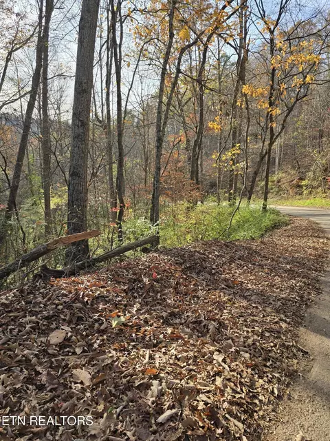230 Wells Rd, Powell, TN 37849 photo 11