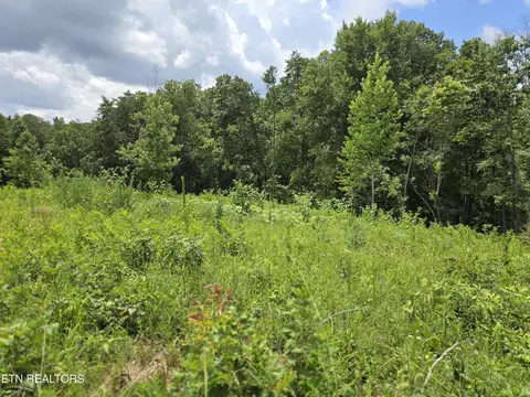 230 Wells Rd, Powell, TN 37849 photo 2