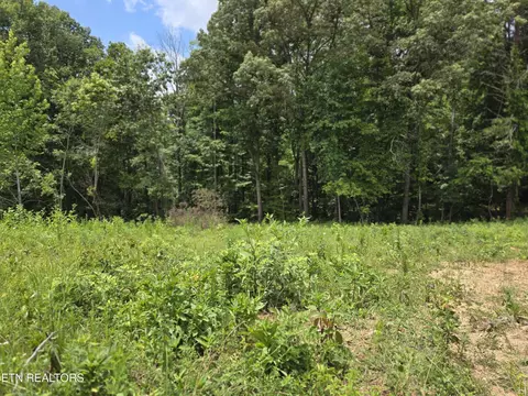230 Wells Rd, Powell, TN 37849 photo 4