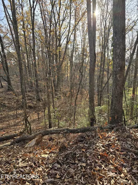 230 Wells Rd, Powell, TN 37849 photo 9
