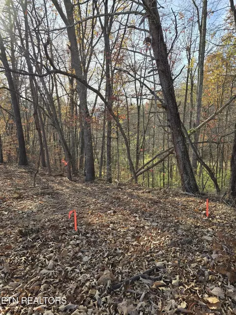 230 Wells Rd, Powell, TN 37849 photo 8