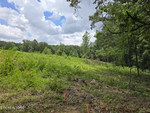230 Wells Rd, Powell, TN 37849 photo 3