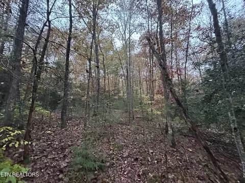 0 Graveyard Rd Eo Rd, Jamestown, TN 38556