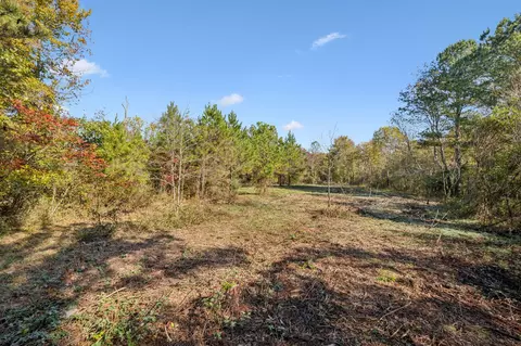 7489 Shoals Branch Rd, Primm Springs, TN 38476