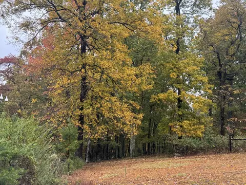188 Hitchcock Rd, Dunlap, TN 37327 photo 3