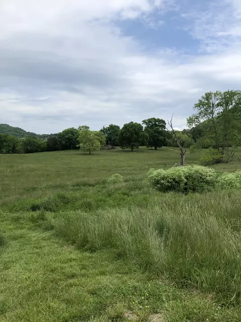 2 Hog Hollow Ln, Bethpage, TN 37022