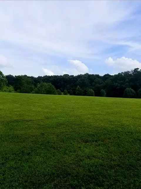 4591 Benson Rd, Springfield, TN 37172 photo 6