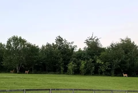 4591 Benson Rd, Springfield, TN 37172 photo 7