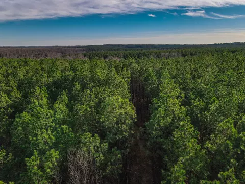 0 Brush Creek Rd, Hohenwald, TN 38462
