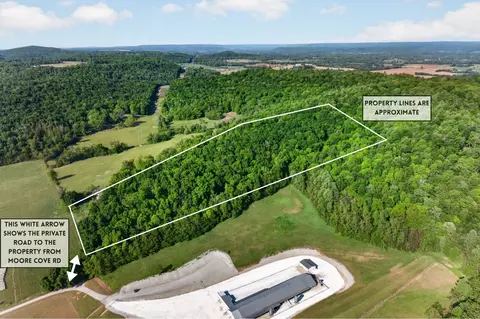 0 Moore Cove Rd, Sparta, TN 38583