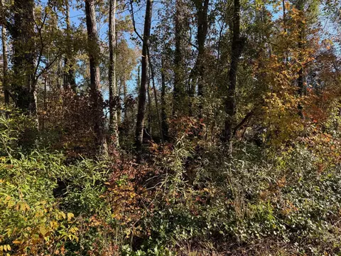 0 Apache Rd, Jackson, GA 30233 photo 3