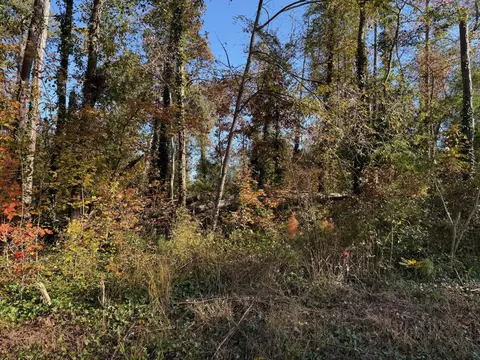 0 Apache Rd, Jackson, GA 30233 photo 4