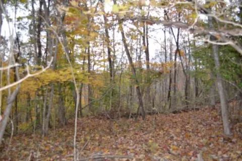 0 Red Oak Ridge Rd, Celina, TN 38551