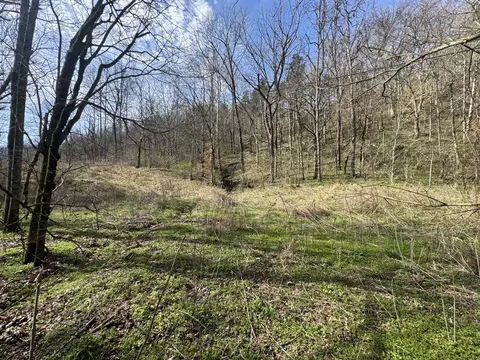 0 Pine Lick Rd, Whitleyville, TN 38588