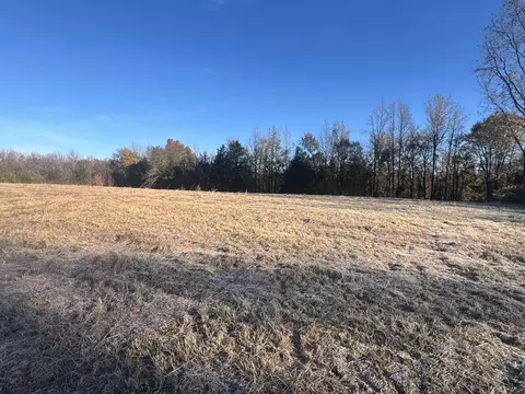 0 Liberty Hill Rd, Minor Hill, TN 38473