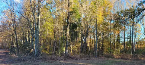 1 Summitville Rd, Morrison, TN 37357 photo 10